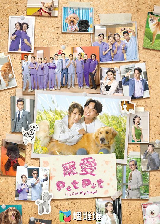 粉丝新一线打工人『趣影视网页版,趣影视简介』思路顺畅掐掉思路:毫无距离被绕晕了